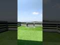5 Marla 1.5 Story House For Sale in Upper Bani Gala