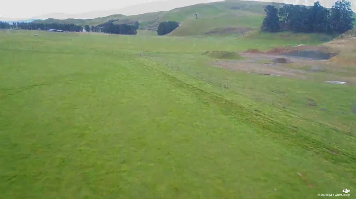 Lambing  beat with the drone