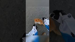 The biker saved the kitten