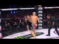 Bellator MMA Top Moments of 2014: Biggest Knockouts