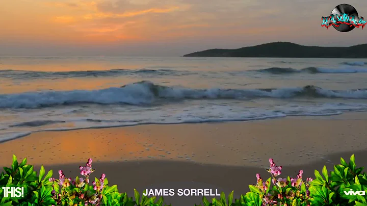 James Sorrell THIS! Viva May Edition