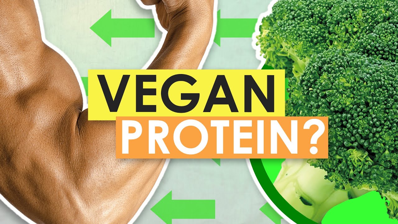 Can Vegans Get Enough Protein? YouTube