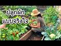 วิธีปลูกผักสวนครัวฉบับคนเวลาน้อย ง่ายแถมโตไวมาก! เก็บผักและอัพเดทผัก