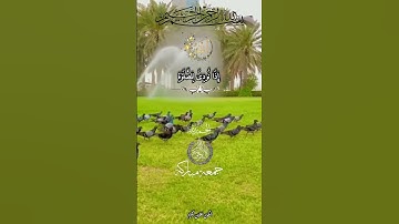سورة الجمعة عبد الباسط عبد الصمد ( یَـٰۤأَیُّهَا ٱلَّذِینَ ءَامَنُوۤا۟ إِذَا نُودِیَ لِلصَّلَوٰةِ) 🤲