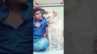 corona ka daar? | #shorts | funny videos