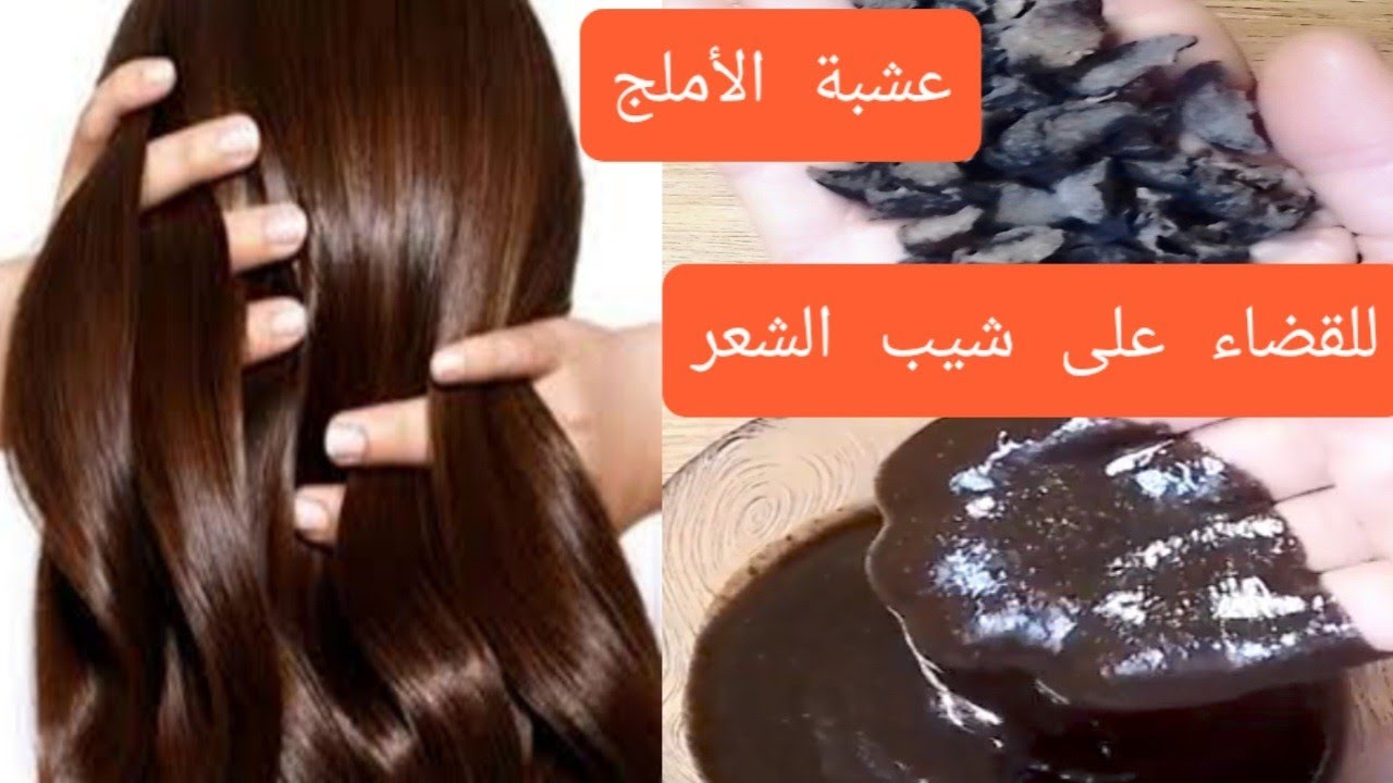 #عشبة الأملج القضاء على شيب الشعر وتمنع الشعر من التساقط 👌نهائيا وتعطي لون للشعر خطير 👌👌