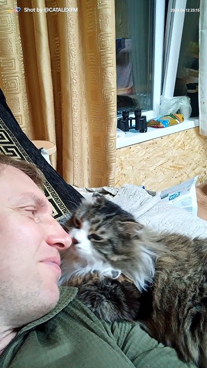 Как прекрасен этот кот 😸 - YouTube