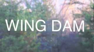 Wing Dam - Stars (MUSIC VIDEO)