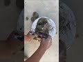 Puja ko Jago Krishna Kanhaiya#trending hai 🦚🖌️🙏