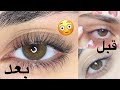 كيف طولت رموشي؟ | النتيجة خلال فترة قصيرة رغد حمزة | HOW I GREW MY LASHES !!