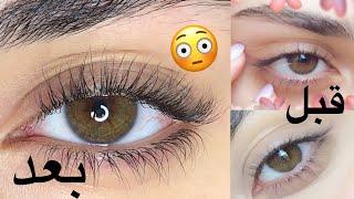 كيف طولت رموشي؟ | النتيجة خلال فترة قصيرة رغد حمزة | HOW I GREW MY LASHES !!