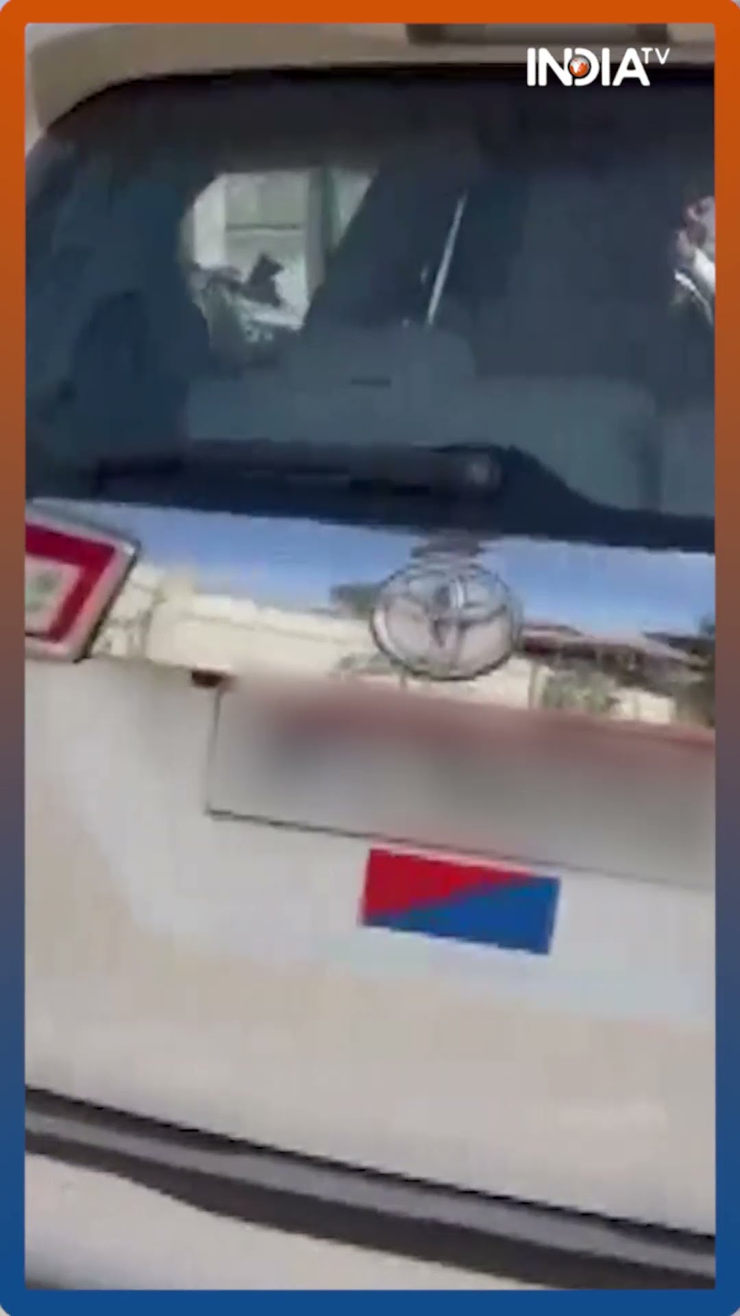 Bhopal Gold In Car: घुप अंधेरा, घना जंगल, पेड़ के नीचे कार...जैसे ही खोली कुंडी, मिला करोड़ों का माल