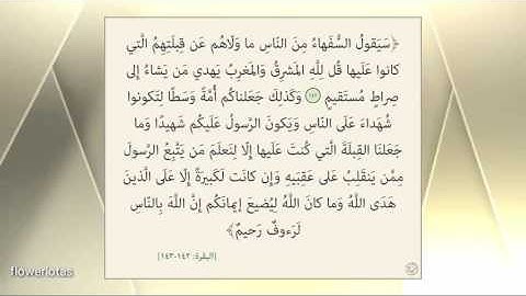 سورة البقرة من 142 الى 143🍃