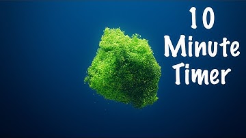 10 minute timer (Count Up) - With Relaxing Music and Simple Graphics
