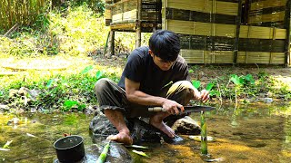 BUILDING THE PERFECT SHIELD WALL FOR SURVIVING, FRUIT PICKING AND COOKING. by My Bushcraft 4,517 views 1 month ago 36 minutes