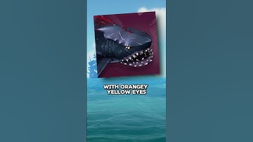 How To Identify Different Megs In Sea Of Thieves!