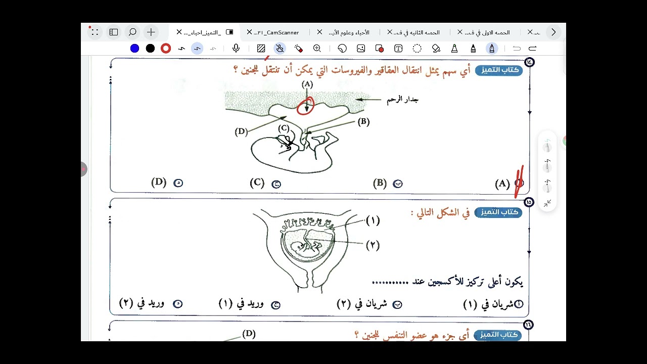 حل الدرس الثامن في التكاثر ملخص التميز