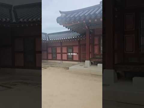 (수원) 화성행궁 좋았어요 / suwon trip