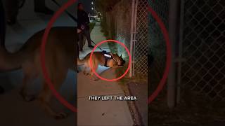 The K9 Refused To Leave Until Police Found The Missing Child