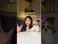 My dog HEALED me in ways no man ever could | Unsaid Ep. 4 #ytshorts #shorts #newcreator
