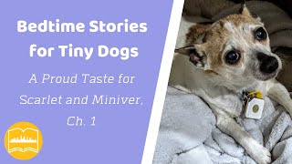 Bedtime Stories for Tiny Dogs; A Proud Taste for Scarlet and Miniver, Ch. 1