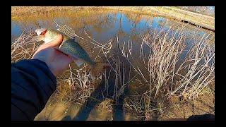 Fishing Garbage Creek Winnipeg