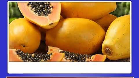 Incredible Science Class 3-Chapter 6-Page Number 61