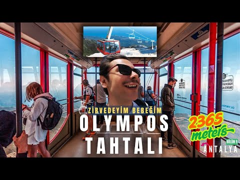 Hayvan Gibi Teleferikle