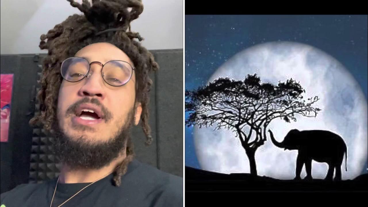 Do Elephants Worship the Moon?! 😮🌙🐘 PatGeo YouTube