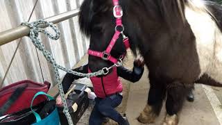 Download Lagu Weer lekker op de Barebackpad \u0026 springen MP3