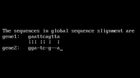 Computer Program for Global Sequence Alignment