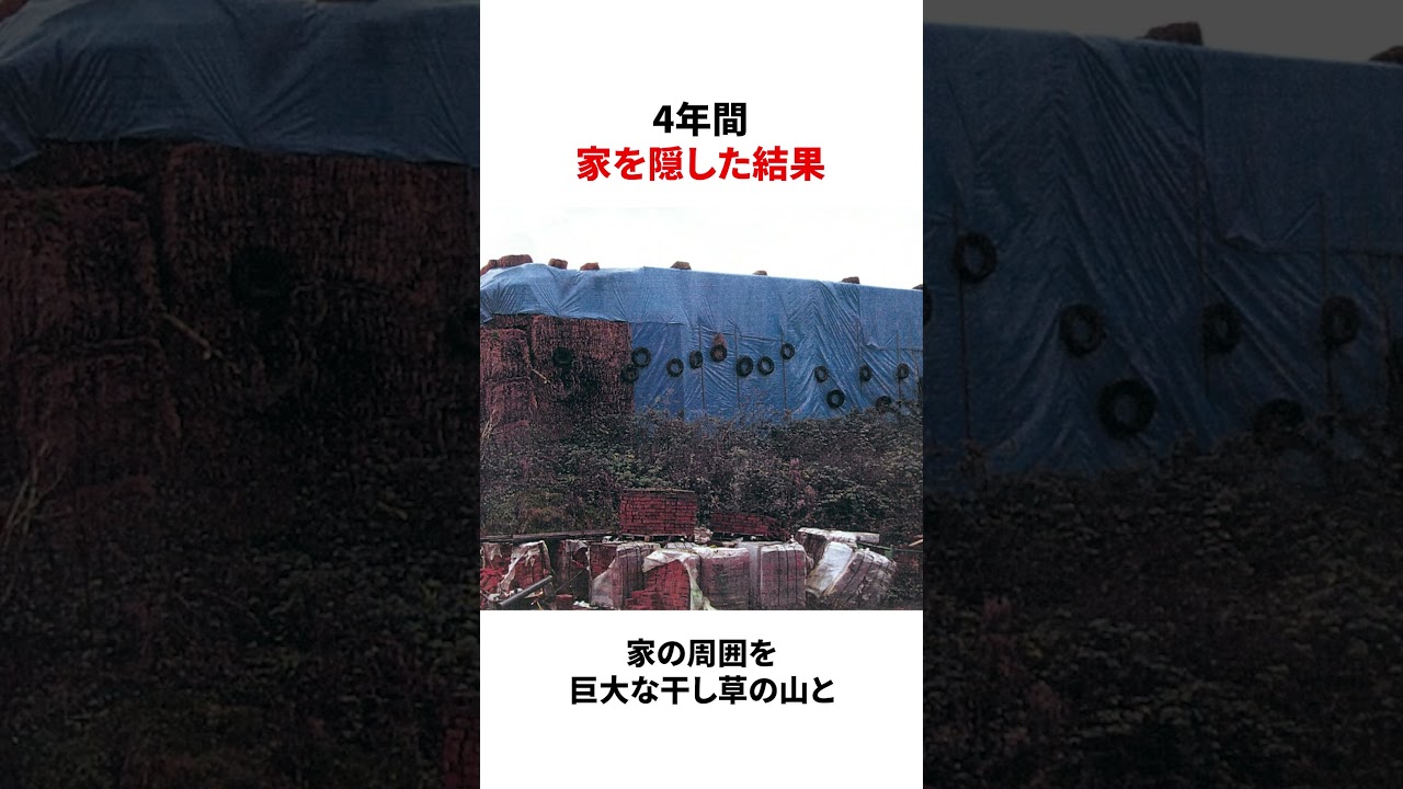 4年間家を国から隠した結果