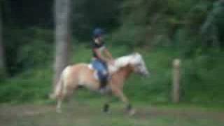 Flatwork- nick-wait a minute