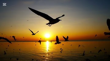 ﴿ يَا أَيُّهَا الْإِنسَانُ مَا غَرَّكَ بِرَبِّكَ الْكَرِيمِ﴾[ سورة الانفطار: 6]