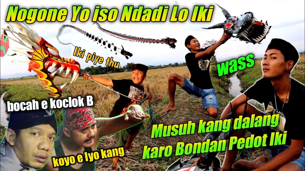 Layangan nogo sari dan naga hitam ora duwe wedi