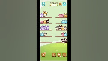 Cat Sort Level 294 with Puzzle_Daddy