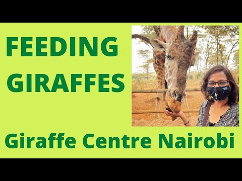 Vídeo: Nairobi's Giraffe Centre: La guia completa