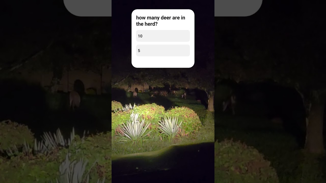 Wow, big herd of deer in the backyard tonight 