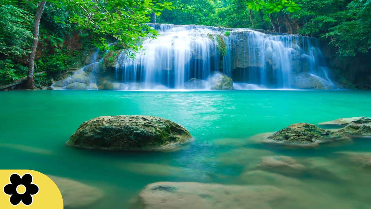 Healing Meditation Music, Relaxing Music, Calming Music, Stress Relief Music, Peaceful Music, ✿2670C relax music bgm channel