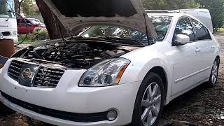 Sports Performance I bought a 2005 Nissan Maxima for $400 But This Happened!
