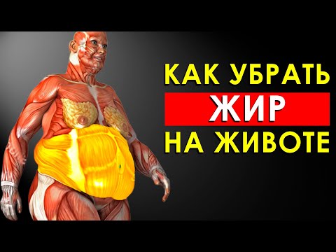 Как Убрать Жир На Животе? Продукты Для Сжигания Жира