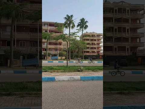 مدينة جمصة وشوارعها تعرفوا اسم المنطقة دي