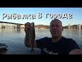 Рыбалка в Красноярске
