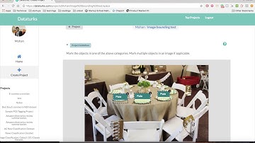 Dataturks Image Bounding Box Example Walkthrough