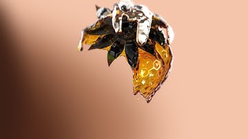 7DAY FREE Speed up your design with RealFlow Training (LWD)