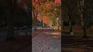 Fall in Tacoma, WA 🍁 Ruston Way, Mount Rainier & Peak Fall Color Fall in Tacoma, WA 🍁 Ruston Way, Mount Rainier & Peak Fall Color