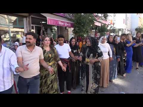 KAMERAMAN SELAMİ  FAYKIYLA GURBET DOM AŞİRETİNİN MUHTEŞEM DÜĞÜNÜ 1