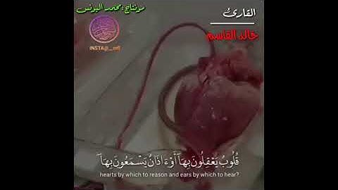 #القارئ خالد القاسم تلاوة جميلة جداً