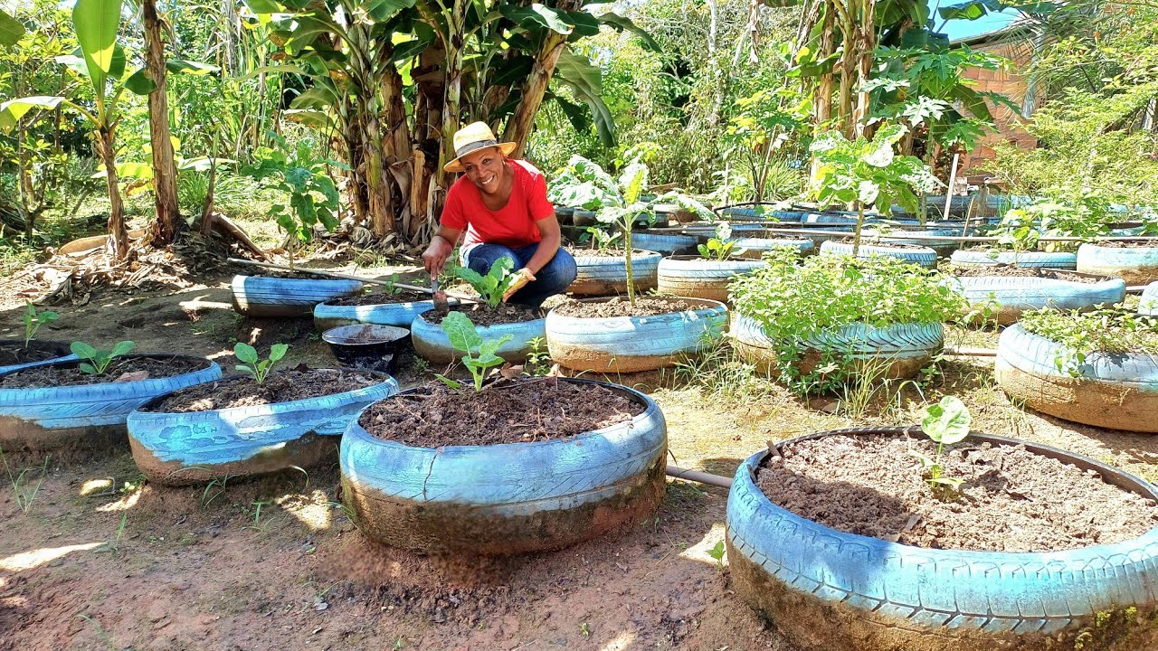 CUIDANDO DA ROÇA E NOVOS PROJETOS