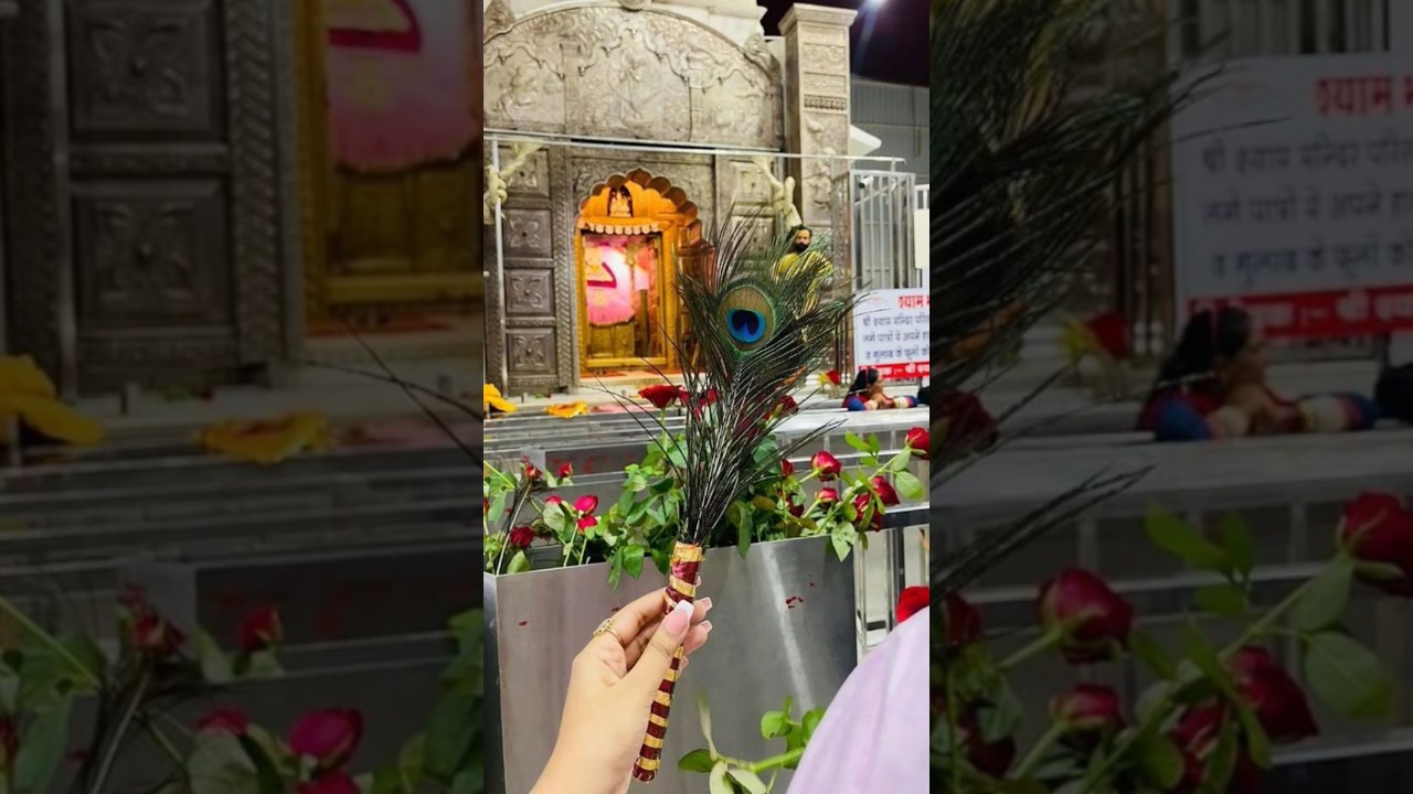 sanvariya🌹 kar do beda paar